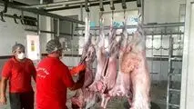 خبر بد برای بازار گوشت /توقف عرضه کنجاله سویا در سامانه بازارگاه