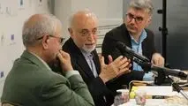 علی‌اکبر صالحی: در روابط بین‌الملل، به جای حکمت، با عواطف عمل کردیم