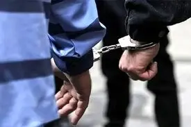 پایان تحرکات جاسوسی با دستگیری متهم در تهران