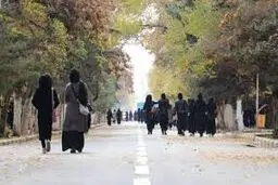 کاهش یک میلیون و ۳۰۰ هزار دانشجو طی یک دهه