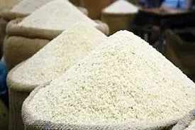 ۱۰۰ هزار تن برنج در بازار توزیع می‌شود