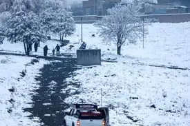 برف در این شهر قربانی گرفت