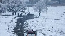برف در این شهر قربانی گرفت