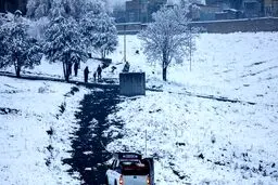 برف در این شهر قربانی گرفت