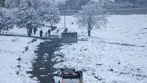 برف در این شهر قربانی گرفت