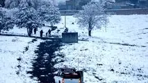 برف در این شهر قربانی گرفت