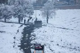 برف در این شهر قربانی گرفت