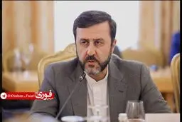 غریب‌آبادی: سطح هیات ایرانی شرکت‌کننده در مذاکرات اسلام‌آباد نشان‌دهنده جدیت ایران است