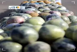  کشف یک تُن انواع مواد مخدر در یزد و دستگیری ۱۴ قاچاقچی