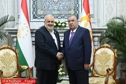دیدار وزیر نیرو ایران با رئیس جمهور تاجیکستان