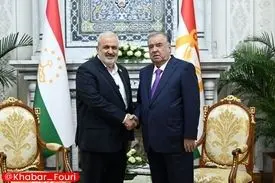 دیدار وزیر نیرو ایران با رئیس جمهور تاجیکستان