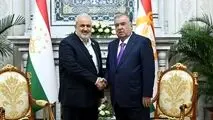 دیدار وزیر نیرو ایران با رئیس جمهور تاجیکستان
