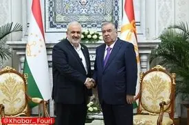 دیدار وزیر نیرو ایران با رئیس جمهور تاجیکستان