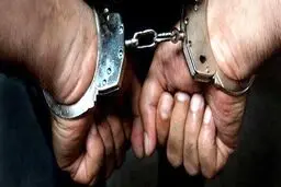 بازداشت یکی از عوامل شبکه نفوذ امنیتی-اقتصادی پس از ورود به کشور