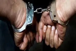 بازداشت یکی از عوامل شبکه نفوذ امنیتی-اقتصادی پس از ورود به کشور