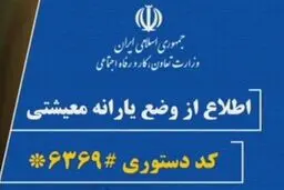 وزارت کار اعلام کرد؛ ثبت نام بیش از ۳ میلیون نفر برای دریافت کمک معیشت خانوار در سایت حمایت