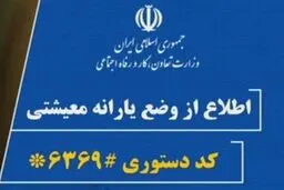 وزارت کار اعلام کرد؛ ثبت نام بیش از ۳ میلیون نفر برای دریافت کمک معیشت خانوار در سایت حمایت
