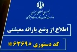 وزارت کار اعلام کرد؛ ثبت نام بیش از ۳ میلیون نفر برای دریافت کمک معیشت خانوار در سایت حمایت