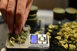 نایب رئیس مجلس: دولت مواد مخدر عرضه کند / پلیس: واویلا می‌شود و همه معتاد می‌شوند