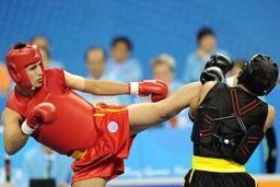 ووشوکار سابق تیم ملی درگذشت