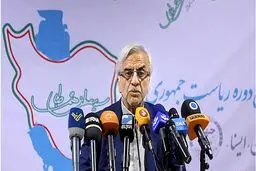 هاشمی‌طبا: پیشنهاد استعفا «پوست خربزه» انداختن زیر پای روحانی است