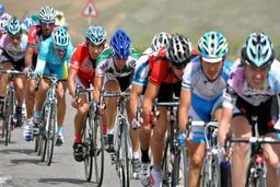 کار رکابزن ایران حرفه‌ای نبود/ هم جریمه شدیم و هم معذرت‌خواهی کردیم!