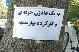 پول درآوردن با کاسبی‌های عجیب و غریب / از «فالتون» تا «مغز خالی کن»