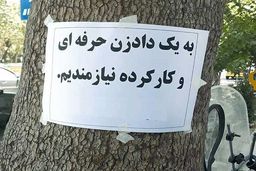 پول درآوردن با کاسبی‌های عجیب و غریب / از «فالتون» تا «مغز خالی کن»