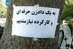 پول درآوردن با کاسبی‌های عجیب و غریب / از «فالتون» تا «مغز خالی کن»