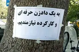 پول درآوردن با کاسبی‌های عجیب و غریب / از «فالتون» تا «مغز خالی کن»