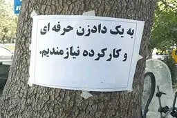پول درآوردن با کاسبی‌های عجیب و غریب / از «فالتون» تا «مغز خالی کن»