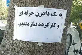 پول درآوردن با کاسبی‌های عجیب و غریب / از «فالتون» تا «مغز خالی کن»
