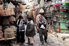 از فروش طلسم و سم مار تا کسب و کار روی آب رودخانه / عجیب‌ترین بازار‌های جهان را بشناسید + تصاویر