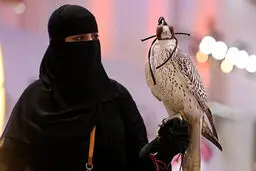 علاقه زنان عربستانی به شاهین شکاری + تصاویر
