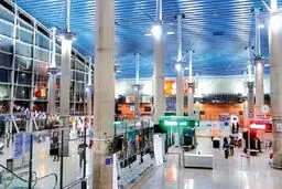 شکار ناموس در اینستاگرام