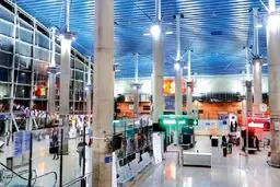 شکار ناموس در اینستاگرام