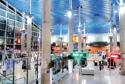 شکار ناموس در اینستاگرام