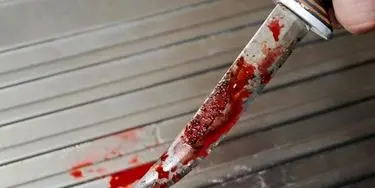 مرد ۷۳ ساله زن موردعلاقه‌اش را کشت