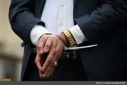 هم‌دست سلطان سکه دستگیر شد