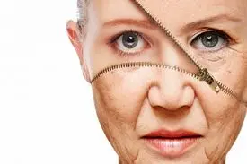 خوراکی‌های ضد پیری که پوست را مثل مروارید درخشان می‌کند