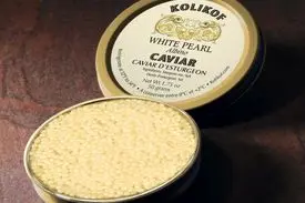 گران‌قیمت‌ترین خوراکی‌های دنیا / از پنیر گوزن شمالی تا سوپ لانه پرستو + تصاویر