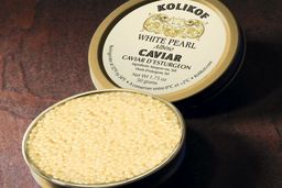 گران‌قیمت‌ترین خوراکی‌های دنیا / از پنیر گوزن شمالی تا سوپ لانه پرستو + تصاویر