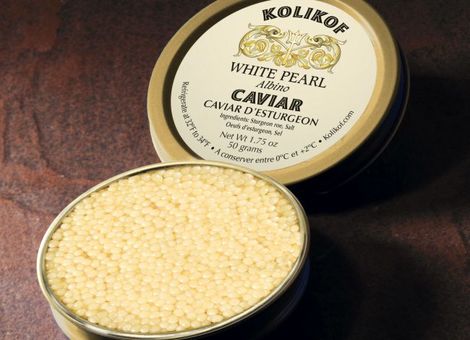 گران‌قیمت‌ترین خوراکی‌های دنیا / از پنیر گوزن شمالی تا سوپ لانه پرستو + تصاویر