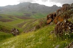 روستایی در ایران که مردمانش رومانیایی حرف می‌زنند و لاتین می‌نویسند