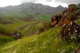 روستایی در ایران که مردمانش رومانیایی حرف می‌زنند و لاتین می‌نویسند