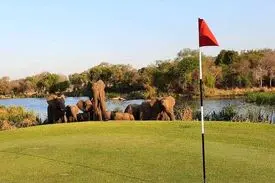 عجیب‌ترین زمین گلف در جهان! + تصاویر