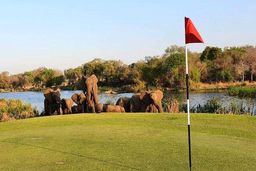 عجیب‌ترین زمین گلف در جهان! + تصاویر