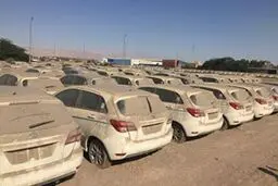 گمرک ایران اعلام کرد؛ وزیر صمت دستور ترخیص ۱۰۴۸ خودروی دپو شده را صادر کرد