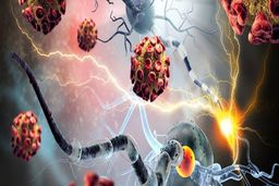 شناسایی باکتری عامل افزایش احتمال سرطان روده