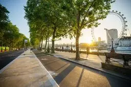 ۱۰ دلیل برای اینکه از درختان محافظت کنید